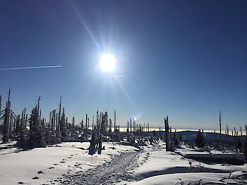 Winterzauberland